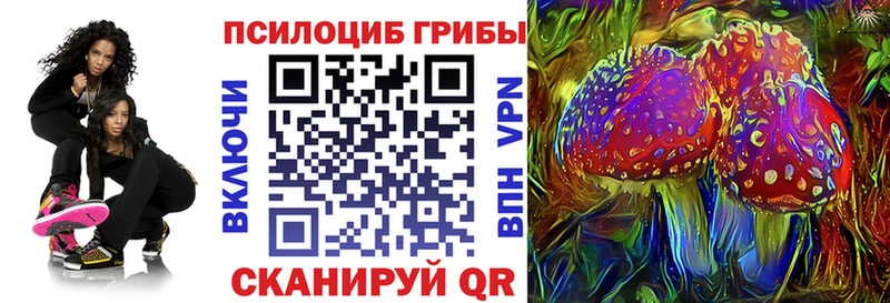Галлюциногенные грибы Psilocybine cubensis  что такое наркотик  Нефтекумск 